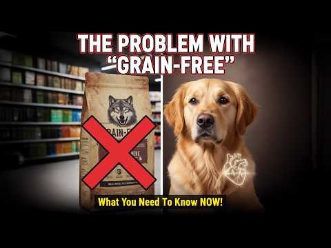 Welcome to Pet Tips – Your Ultimate Guide to Happy & Healthy Pets! 🐶🐱