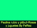 Paulina rubio y pitbull-ni rosas ni juguetes(ReMiX ...
