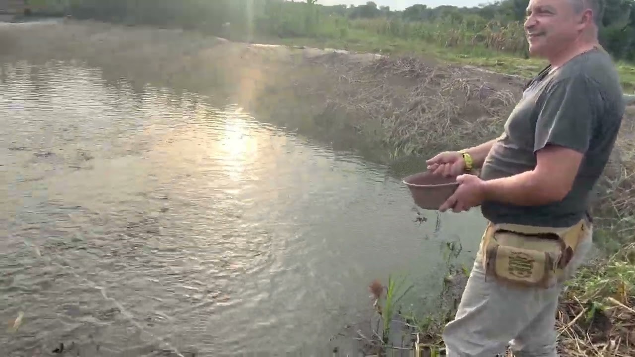 The Fun part of Feed Our Catfishes