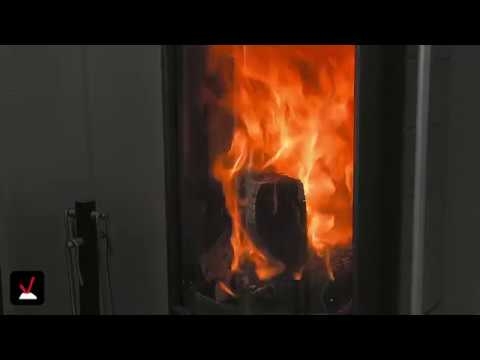 Brennholz | Esche: Vor- und Nachteile