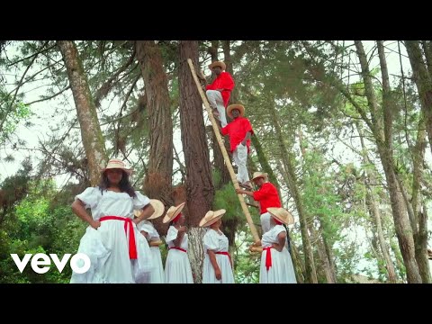 GRUPO SOCAVON DE TIMBIQUI - QUITATE DE MI ESCALERA