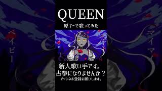 #queen #kanaria #歌ってみた #新人歌い手 #歌い手 #推し不在 #cover