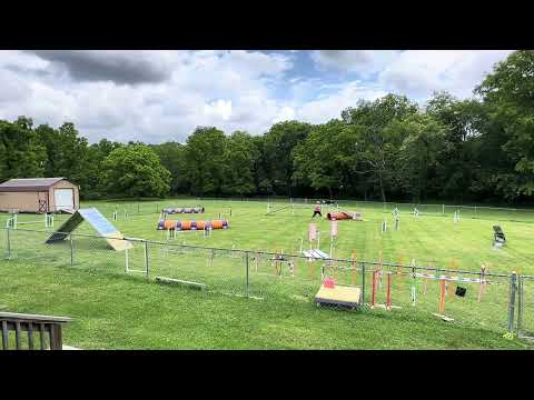 Obi EO training Daniel Walz A3