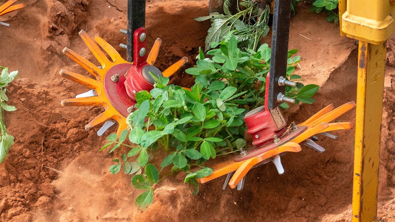 "Eliminated so much hoeing" | Finger Weeders, A Farmers Favorite Tool