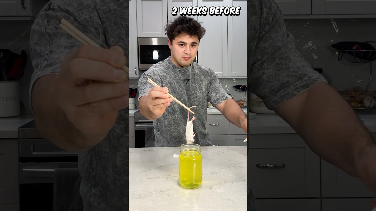 14 Day Update of Mountain Dew vs Mouse!! 😱 #shorts #mountaindew #mouse #experiment #willitwork