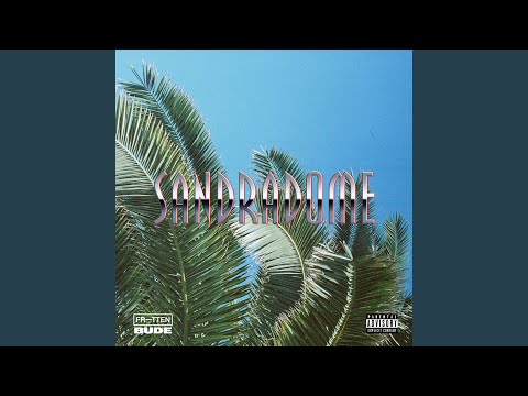 Video thumbnail for Sandradome