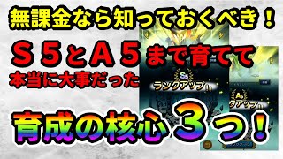 【DQT】無課金なら知っておくべき！育成の核心３つ！！！【ドラクエタクト】