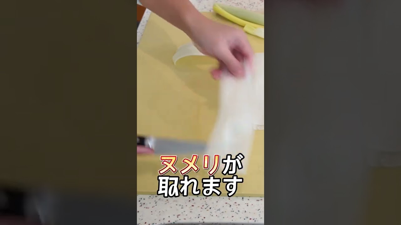 【1分でわかる】キレイな白髪ネギの切り方