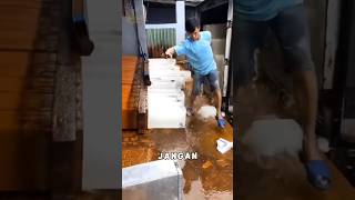 Download lagu Never Eat These Ice Cubes Straight Away mp3