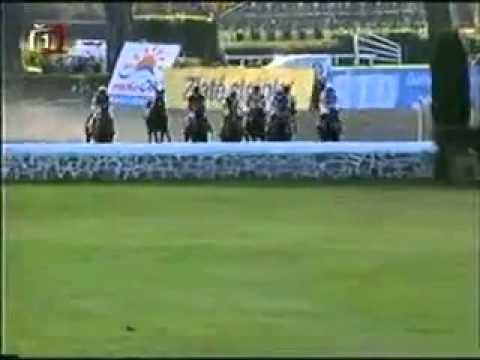 114. Velká pardubická steeplechase - 2004