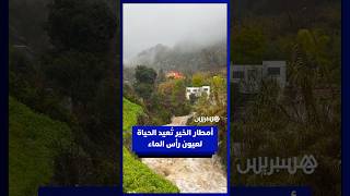 أمطار الخير تُعيد الحياة لعيون رأس الماء thumbnail