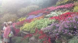 Rock Gardens- The Most Beautiful Solution To A Hill