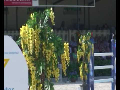 Van Gogh 16zu9 2010 NL