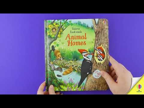 Книга Look inside Animal Homes video 1