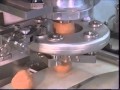 Scotch Egg Encrusting Machine