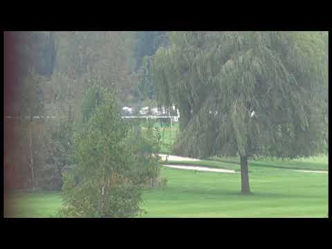 KV, 28. 9. 2017, 3. dostih - Cena Šlechtitelů společnosti SELGEN