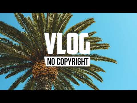 MBB - Palm Trees (Vlog No Copyright Music)