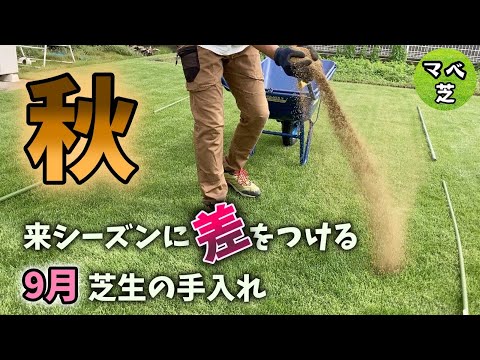 秋の芝生の肥料：いつ、どのように芝生に肥料を与えるのですか？完全ガイド  庭園