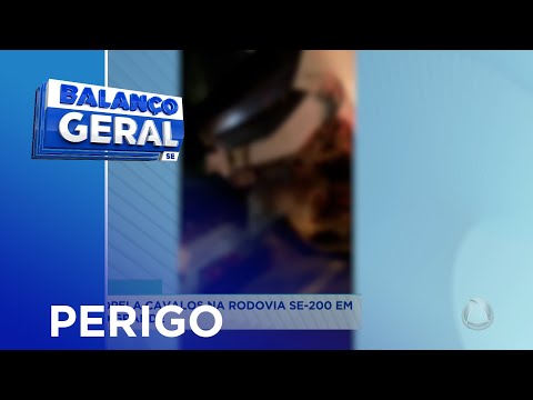Ônibus atropela cavalos na rodovia SE-200 em Brejo Grande - Balanço Geral Sergipe