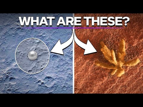 Real Images Of What We Have Discovered On Venus