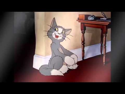 Tom And Jerry First Episode Date