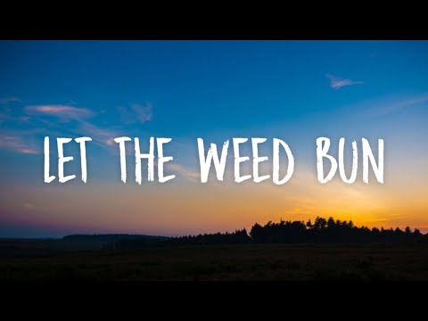 Taiwan MC - Let The Weed Bun (Lyrics) (Feat. Davojah)