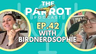 What Nobody Tells You About Rescuing Parrots | Adoption, Flocks & Bird Owner Reality | Episode 42