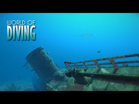 World of Diving — U 352 shipwreck showcase