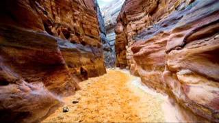 Andru Donalds - My place is here