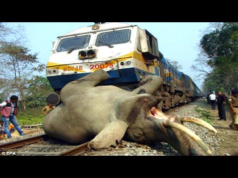Top 20 Dangerous TRAINS vs IDIOTS TRUCK Fails Compilation In 8 Minuts