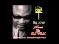 DJ VLK - Megamix Of Low Deep T Big Love Album ...