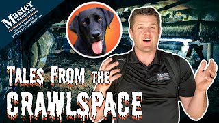 Watch video: Tales from the Crawlspace: Four legged...