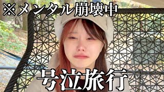 【号泣注意】樹海へ旅行いってきた
