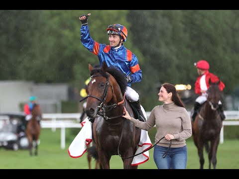 my-bed.eu-Langer Hamburger 2024: Niagaro