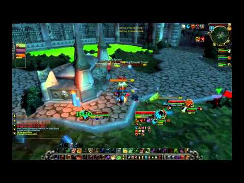 Gladiator Miirkat - Feral / Hunter / Paladin