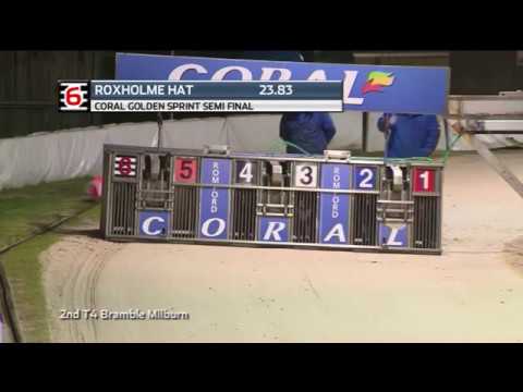 2019 CORAL GOLDEN SPRINT - 3RD SEMI - T6 ROXHOLME HAT