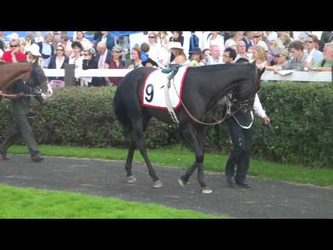 GALOPPSPELAREN - Go Go Gadget ledvolten Norskt Derby 2010