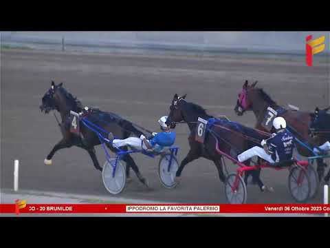 VII Corsa del 6 Ottobre 2023 - 5 Anni ed oltre - Metri 1600 - Gentlemen - TQQ