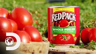 CANNED TOMATOES | How It&#39;s Made