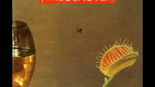 Einstürzende Neubauten ‎- Blume (French Version)