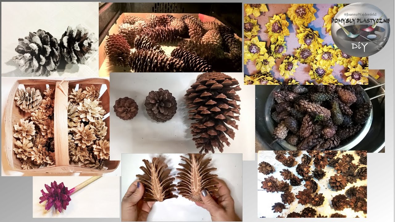 Kilka porad jak przygotować szyszki do dekoracji - Pomysły plastyczne DiY