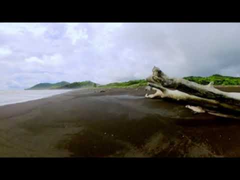 Costa Rica walk on Playa Camaronal 360 VR