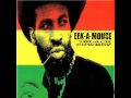 Eek a mouse - police in helicopter