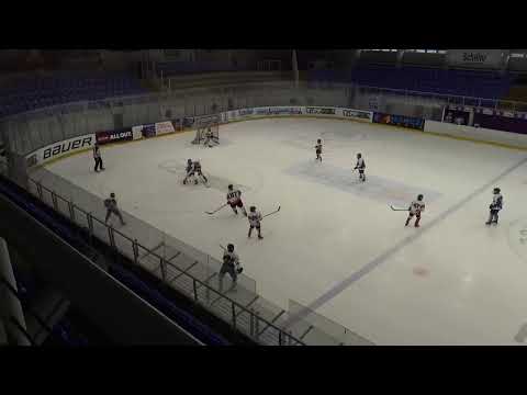 Sportországi Cápák Utánpótlás Jégkorong