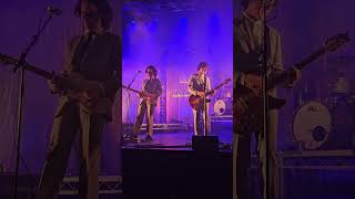 Evie Live Last Dinosaurs Brisbane