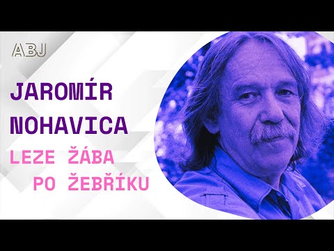 Jaromír Nohavica: Virtuálka #05 -  LEZE ŽÁBA PO ŽEBŘÍKU