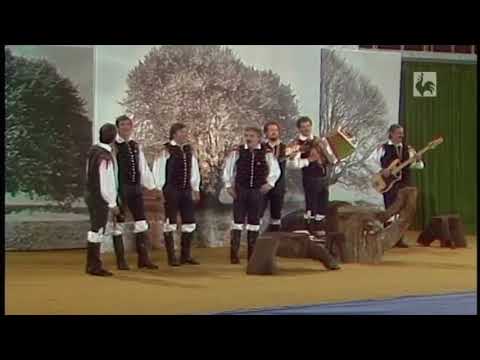 Fantje z vseh vetrov - Podoknica