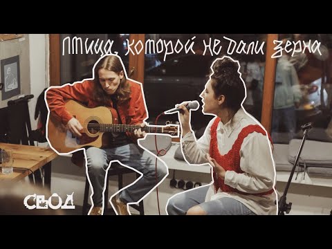 Васса Железнова — Птица, которой не дали зерна (Acoustic Live) Tbilisi