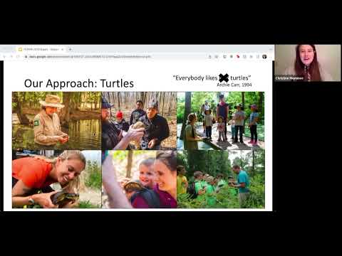 Diversifying Conservation: A Case Study Using Rare Turtles with Chrissy Mominee