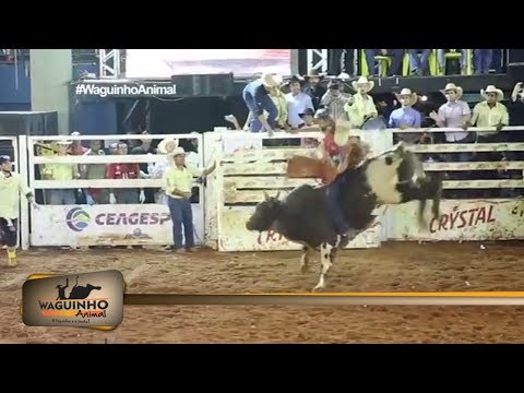 Waguinho Animal - Montarias Touro 10/06/17